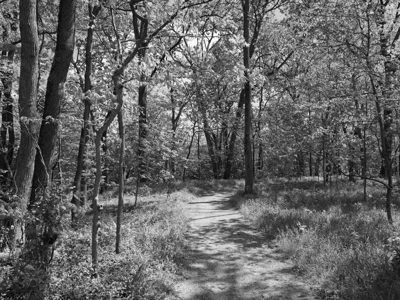 Hopewell Culture National Historical Park 3