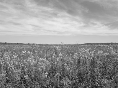 Huffman Prairie Flying Field 1