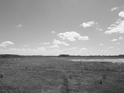 Killdeer Plains Wildlife Area 1