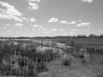 Killdeer Plains Wildlife Area 2