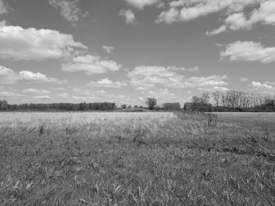Killdeer Plains Wildlife Area 3