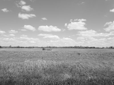 Killdeer Plains Wildlife Area 4