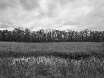 Krejci Dump, Cuyahoga Valley National Park 1