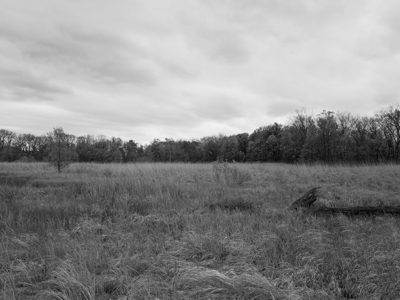 Krejci Dump, Cuyahoga Valley National Park 2