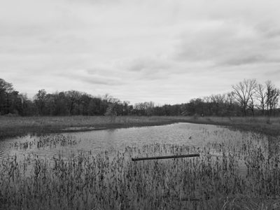 Krejci Dump, Cuyahoga Valley National Park 3