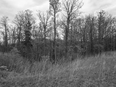 Krejci Dump, Cuyahoga Valley National Park 4