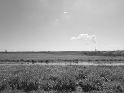 Magee Marsh Wildlife Area 1