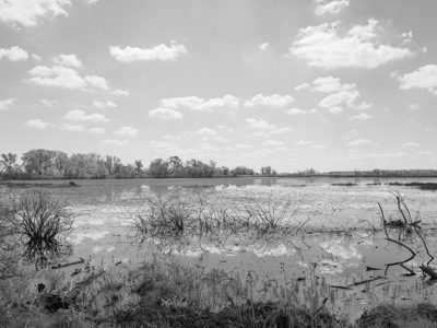 Magee Marsh Wildlife Area 3