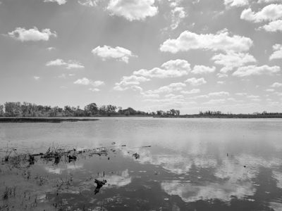 Magee Marsh Wildlife Area 4
