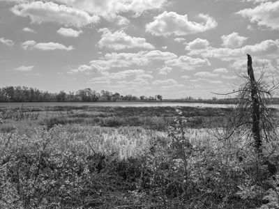 Magee Marsh Wildlife Area 5