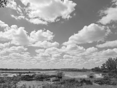 Magee Marsh Wildlife Area 8