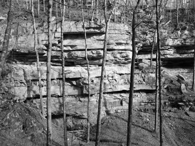 Mammoth Cave National Park 7