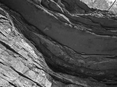 Mammoth Cave National Park 10