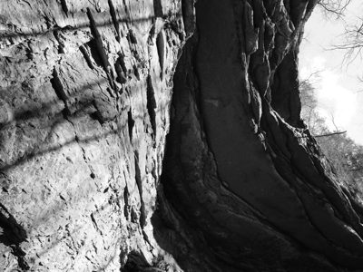Mammoth Cave National Park 13