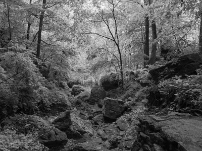 Maquoketa Caves State Park 9
