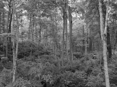 Mounds State Park 4