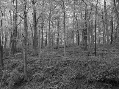 Mounds State Park 8