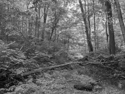 Mounds State Park 10