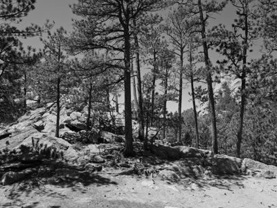 Mount Rushmore National Memorial 1