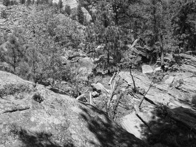Mount Rushmore National Memorial 6