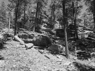 Mount Rushmore National Memorial 9