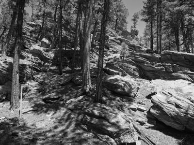 Mount Rushmore National Memorial 10