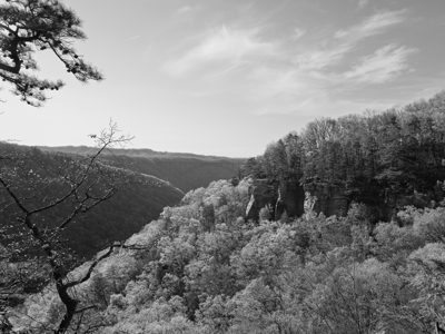 New River Gorge National Park and Preserve 1