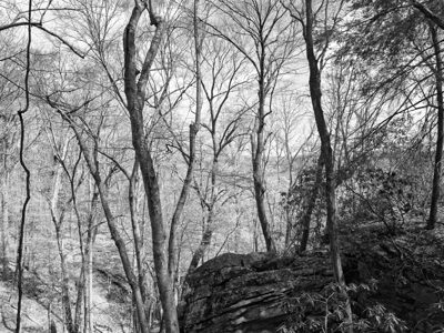New River Gorge National Park and Preserve 6