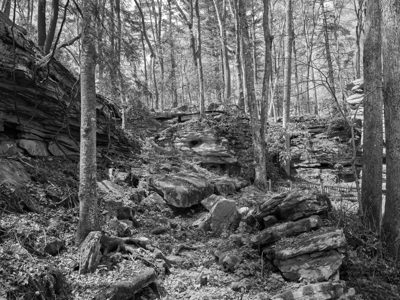 New River Gorge National Park and Preserve 7