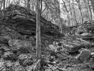 New River Gorge National Park and Preserve 8