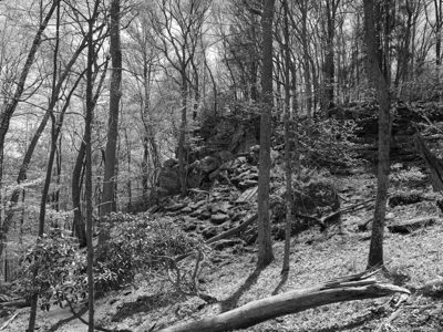 New River Gorge National Park and Preserve 9