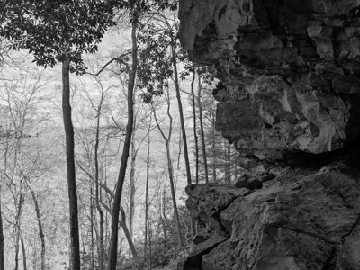 New River Gorge National Park and Preserve 15