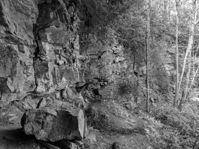 New River Gorge National Park and Preserve 16