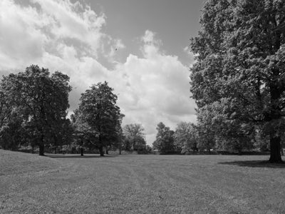 Newark Earthworks 6
