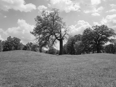 Newark Earthworks 7