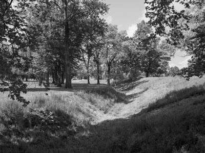 Newark Earthworks 8
