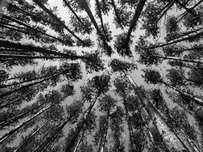 Oak Openings Metropark 4