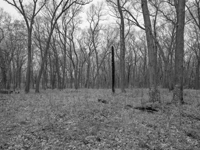 Oak Openings Metropark 6