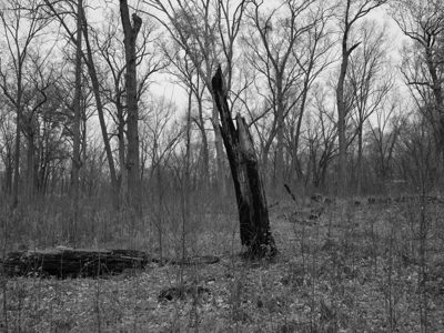 Oak Openings Metropark 9