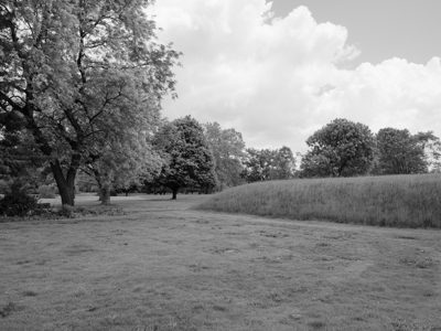 Octagon Earthworks 1
