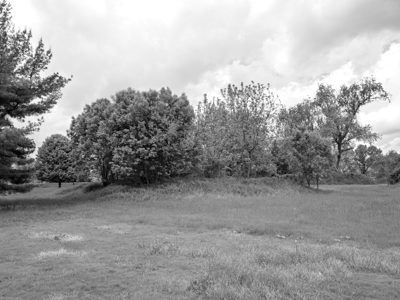 Octagon Earthworks 2