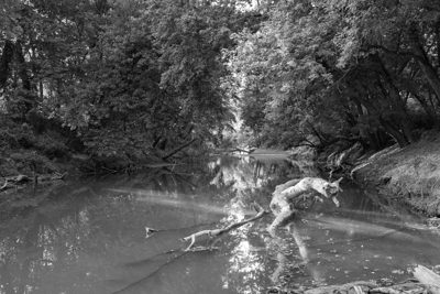 Otto Armleder Memorial Park 2