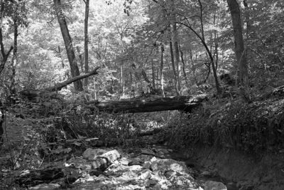 Otto Armleder Memorial Park 3