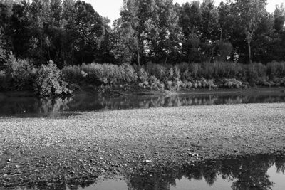 Otto Armleder Memorial Park 4