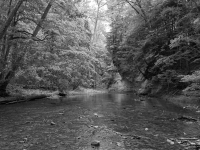 Pine Hills Nature Preserve 4