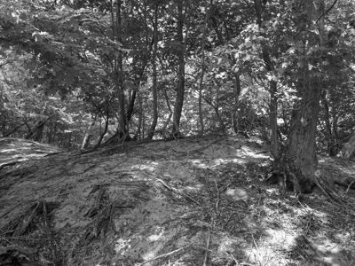P.J. Hoffmaster State Park 1