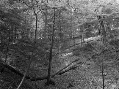 P.J. Hoffmaster State Park 3