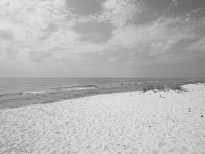 P.J. Hoffmaster State Park 6