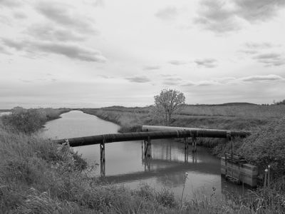 Pointe Mouillee State Game Area 2