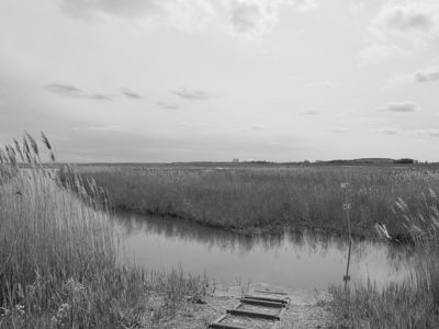 Pointe Mouillee State Game Area 5